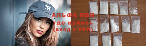 стаф Дмитровск