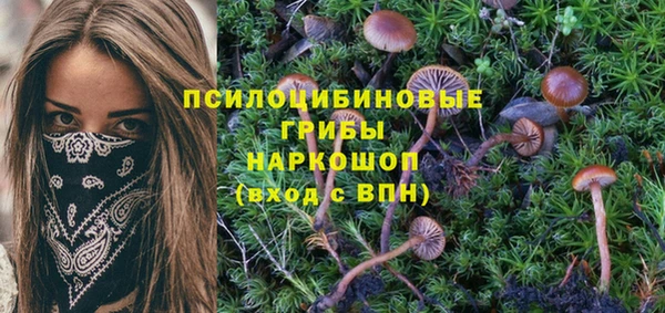 бутик Дмитриев