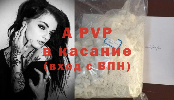 стаф Дмитровск
