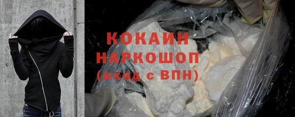 стаф Дмитровск